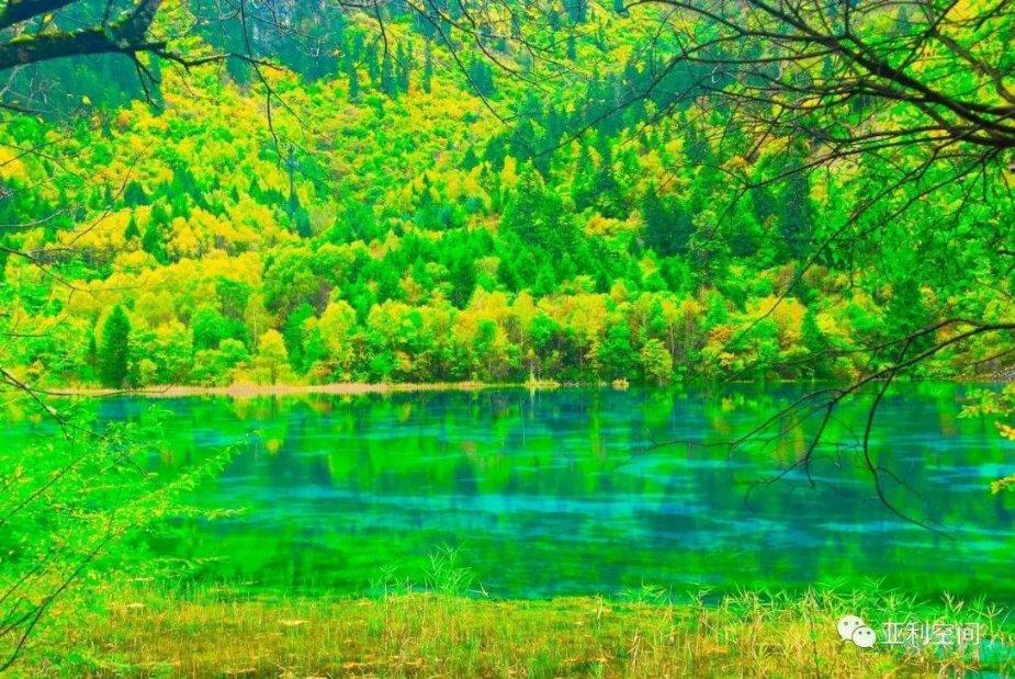浙江大学,与清华北大的差距是什么?